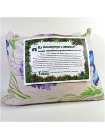 ������� ������������� �������-������������ ������ �������