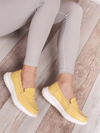 ����� ��������� ���� ����� ��������/ ������� ������� (Y142-3)