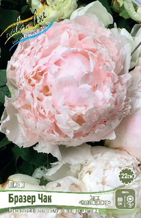 ���� ������ ��� 2/3 n