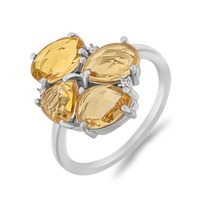 ������, ������, �����