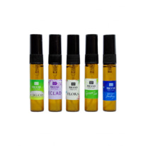 SPRING COLLECTION for Women (5 � 5 ��)