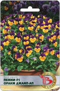 ����� ������� ����� F1 ����� �����-��