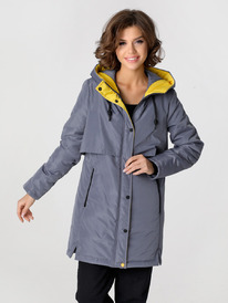 �����  23337 : ����������