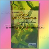 ������� ������ ������ �������� � ��������