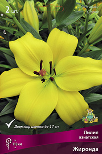 ����� ��������� �������