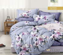 ������� ���������� ����� �� ������� (�������� �� �������) ����� ������ (0301)