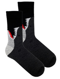 ����� �.40-45 ����� �����