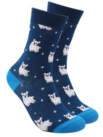 ����� �.35-40 