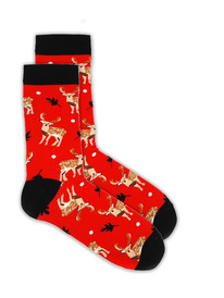 ����� �.35-40 ����� �����