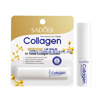 ������� Sadoer ��� ��� � ����������(01345)