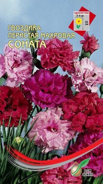 �������� �������� �����