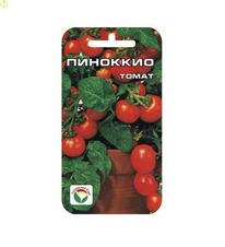 �������� �����