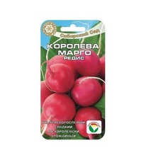 ����� �������� �����