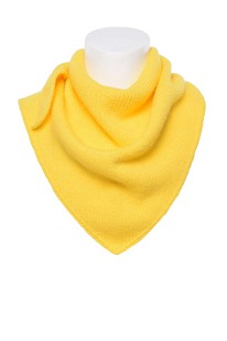 ����-������� Ferz ������