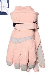 �������� ������ BS-2 ���������