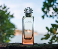 Hermes Un Jardin sur la Lagune ������ 25% �� 31.05