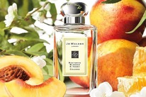 JO MALONE LONDON Nectarine Blossom & Honey Cologne ������ 25% �� 31.05