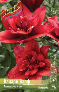 ����� ������ ����, 12/14