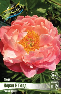 ���� ����� ��� ���� 2/3n