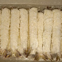 AQUAMARR    Torpedo, 