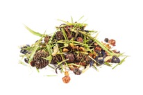 ����� ������ - ������ ������� ���� ������