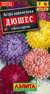 ����� ����� ����� ����������