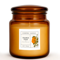   Orange Tree Tai Yan, 395 