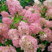 ��������� ������ �������. ��