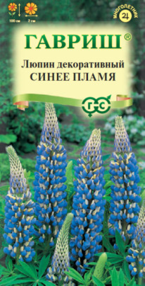 ����� ����� �����