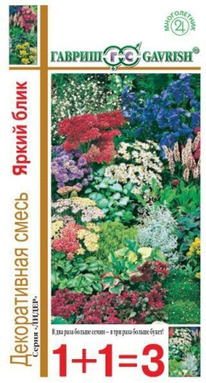 ����� ������������ ����� ���� 1+1