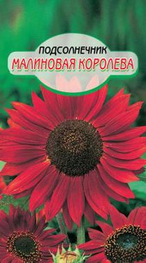 ��������� �������� ������������