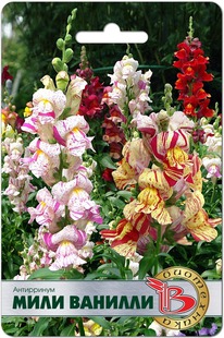 ���������� ���� �������