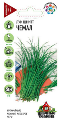 ��� ����� �����