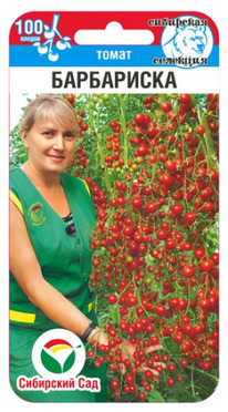 ����� ����� ����������