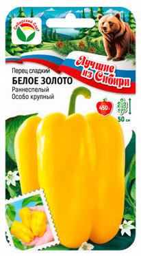 ����� ����� ������