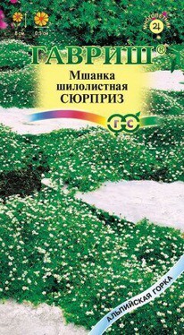 ������ ������� �����������