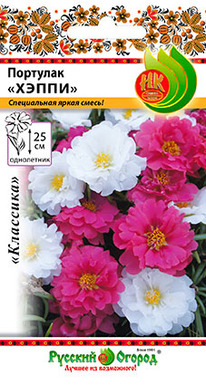 �������� ����� �����