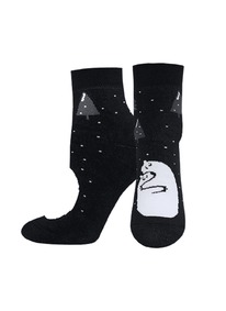 ��������� ����� 1407 ARCTIC (��������, �����������)