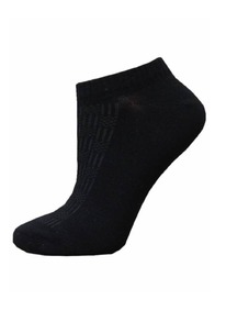 ��������� ����� ACTIVE 1300 (��������������)