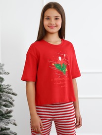 08.12 _   ()  -6.1 -029 