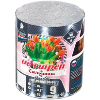  VH080-09-01  / Tulpen (0,8