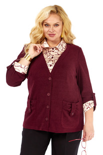 ������� ���� ����� �-541/11 ��������