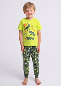 Clever  . CLE 909533_ /.