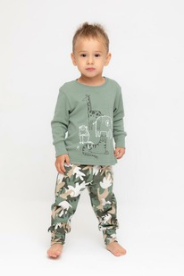 Crockid  /   1541/24/, 