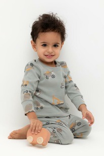 Crockid  /   1552/ ,.