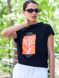 Vilatte         D49.020 