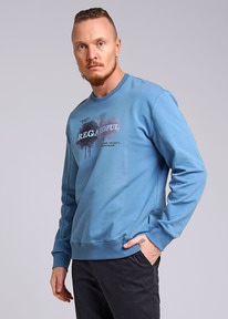 Clever   CLE 542243/03_3 