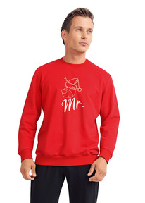 Clever   CLE MSW420910 