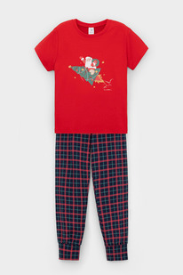 Crockid  /   1554/-,