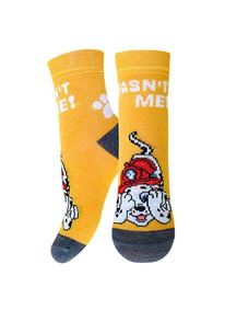  PAW PATROL    3072 PAW PATROL 213072  7